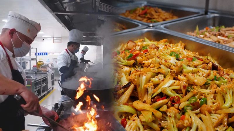 狗狗饼干与磨牙棒：揭秘宠物零食的差异化功能